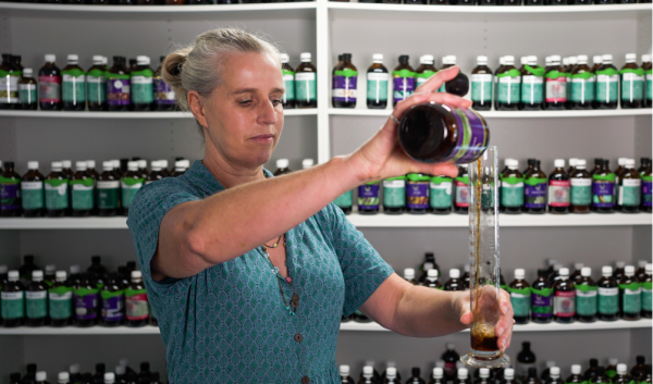 The Power of Whole Plant Medicine