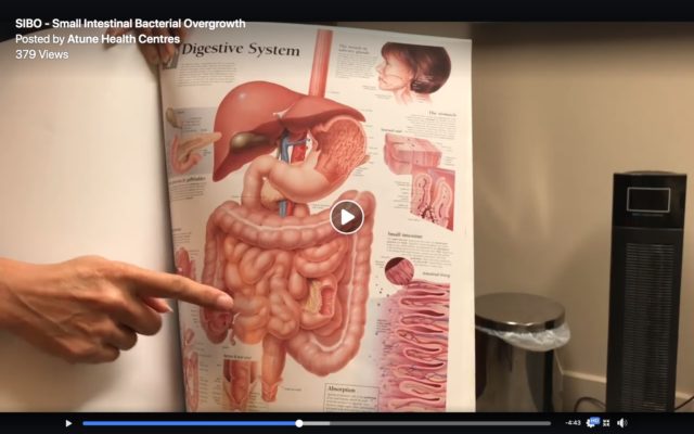 small bowel intestinal overgrowth